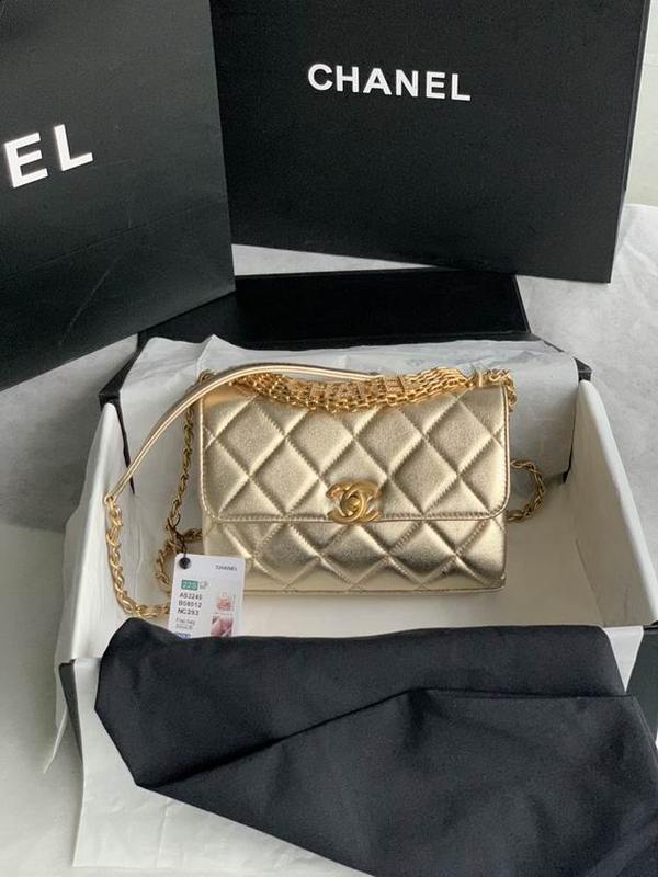 Chanel Handbags 245